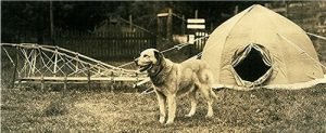 expedition_chinook
