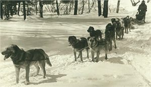walden_team
