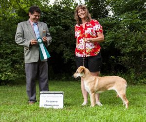 10reserve-champion-bashaba-sky