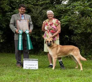 2champion-of-champions-forever-greene-tagluk