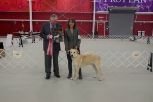 2champion_of_champions-laughing-mountain-moonshadow