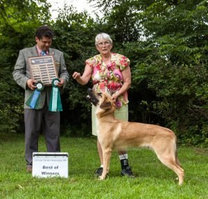 3best-of-winners-forever-green-atka