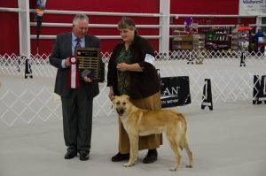 4best-male-mountainthunder-doc-holliday-doc