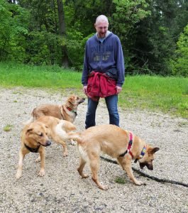 From-back-to-front,-Nuka,-Manuk-and-Eya-(going-for-that-stick)-with-Rene-laughing-on---Entlebuch,-Switzerland---05-June-2016