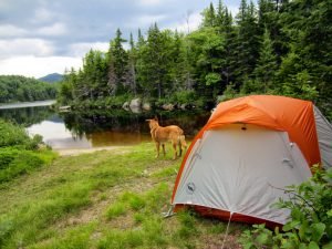 zealand5