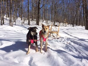 Nukka & Reine Nukka & Reine