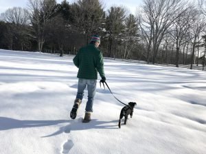 Cover (13) Cover (13)