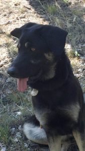 Cover (25) Cover (25)