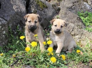Happy Spring!