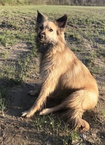 Spring (24) Spring (24)