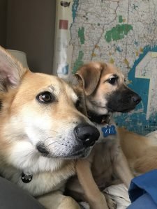 Spring (30) Spring (30)