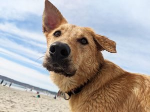 Summer (13) Summer (13)