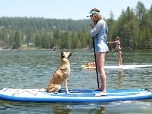 Summer (15) Summer (15)