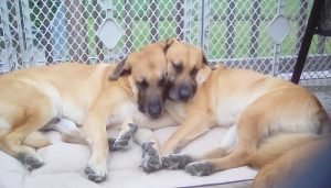 Summer (19) Summer (19)