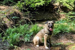 Summer (4) Summer (4)