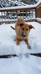 Winter (11)