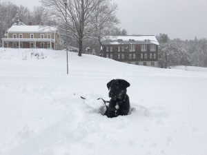 Winter (16)