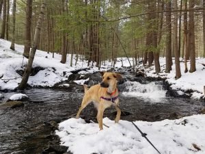 Winter (17)