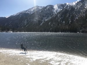 Winter (19)