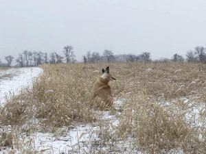 Winter (2)