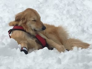 Winter (20)