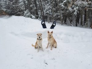 Winter (23)