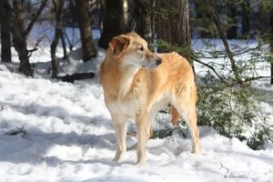 Winter (25) Winter (25)