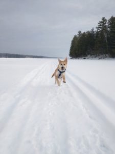 Winter (26)