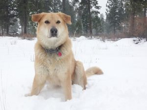 Winter (29) Winter (29)