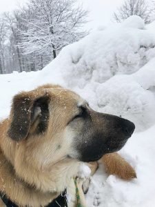 Winter (4)