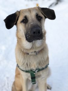 Winter (40) Winter (40)