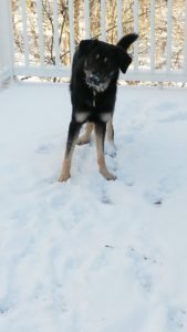 Winter (8) Winter (8)