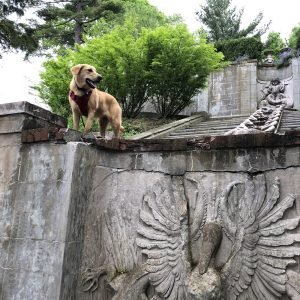 Spring (15) Spring (15)