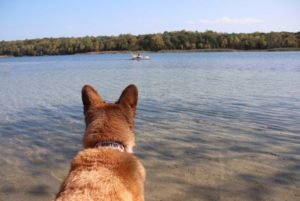 Summer (18) Summer (18)