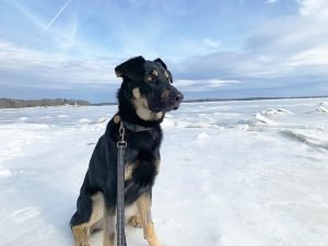 Winter (10) Winter (10)