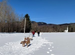 Winter (25)