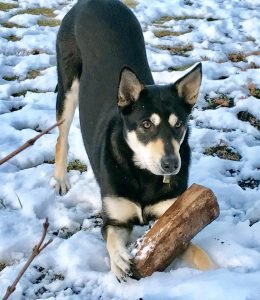 Winter (32)