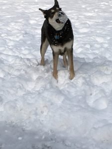 Winter (33)