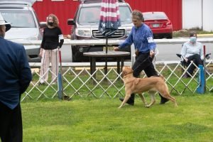 Chinook Specialty 2021