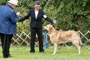 Chinook Specialty 2021: BOB