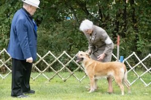 Specialty 2021: Nat. Best Of Breed