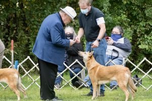 Specialty 2021: Nat. Best Of Breed