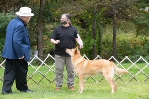 Specialty 2021: Nat. Best Of Breed