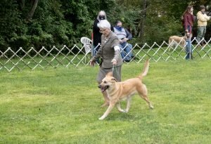 Chinook Specialty 2021: National BOB