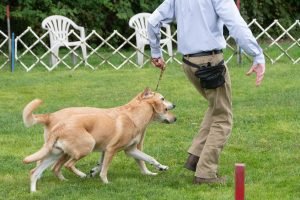 Chinook Specialty 2021: Brace