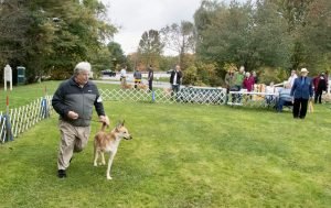 Chinook Specialty 2021: Cross Show