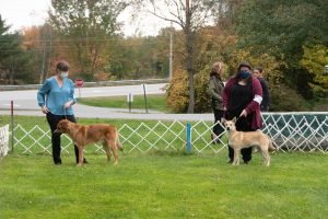 Chinook Specialty 2021:  Best Cross in Show