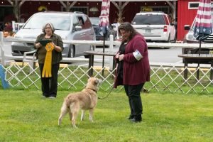 Chinook Specialty 2021: Parade of Title Holders