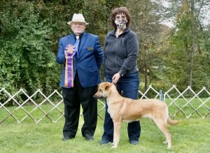 Chinook Specialty 2021