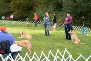 Chinook Specialty 2021: Sunday Fun-Day